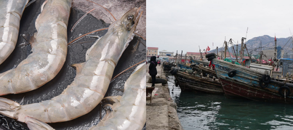 建造一個(gè)海鮮冷庫(kù)多少錢？